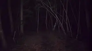 sage of the diviners ft. valley grimm & basedwitch (prod. thundaa)