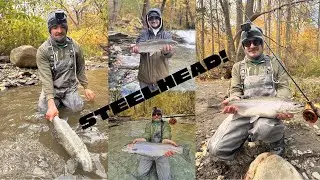 Out Steelhead Fishing EVERYBODY in Pennsylvania!
