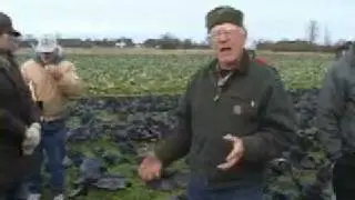 Delta Farm Tour - Welcome to Nash's Organic Produce!