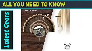 Amazing Custom Turkey Fan Mount Kit: Your Hunt, Immortalized!