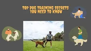 The Ultimate Dog Training Guide: Master Basic Commands with Positive Reinforcement l MY DEAR PET