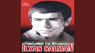 Gitti Kervanımız Ali'Ye Doğru