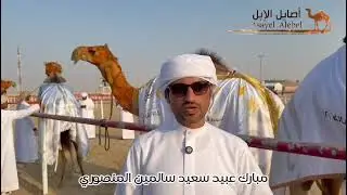 هادي جويعد المنصوري متحدثا عن فوز مهمه للدكتور مبارك عبيد بن سالمين المنصوري في مهرجان الظفره 
