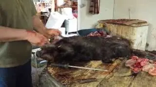 Skinning a beaver in 3 minutes flat!!!!!!