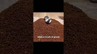 WHY IS HE SO GREEDY? #animalshorts