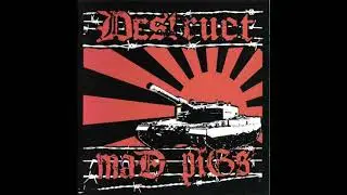Destruct & Mad Pigs - Global Resistance [Split] (USA/Czech, 2007)