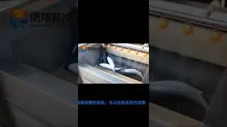 Brush machine to remove fish scales.