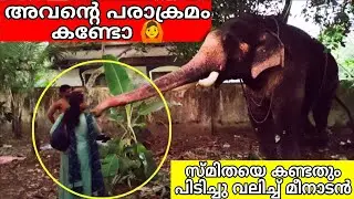 പിടിച്ച് വലിച്ച് മീനാടൻ 😳കണ്ട് നിന്നവർ ഞെട്ടി അമ്മയെ കണ്ടതും അവന്റെ സ്നേഹ പ്രകടനം meenadu vinayakan 