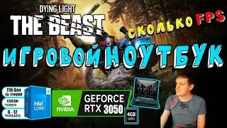 RTX 3050 in Dying Light The Beast on a gaming laptop