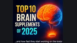 Top 10 Brain Supplements of 2025 & How Fast They Work