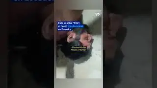 Capturan al &ldquo;Fito&rdquo;, el narco m&aacute;s buscado en Ecuador
