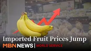 Imported Fruit Prices Soar as Bananas Near 6,000 Won and Vegetables Surge