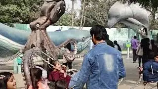 Jungle trail Noida/Jungle trail full tour with details/Jungle Trail Noida ticket price &hearts;️
