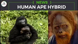 HUMAN APE HYBRID | FEMALE CHIMPS INSEMINATED BY HUMAN SPERMS | CROSSBREEDING | @THOUGHTCTRL