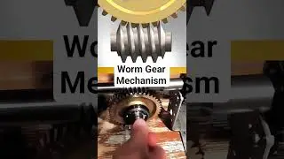 a closer look at the worm gear mechanism #knowledge #wormgear #mechanism #howitworks #youtubeshorts