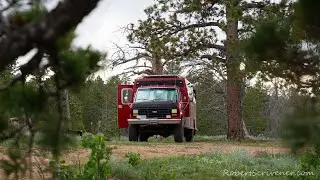 Clifford 2025 Summer Travels Ep.  01