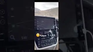 شجرة الوهط العملاقة في الطائف