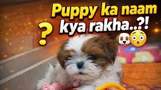 Finally Puppy ka Naam Decide Ho Gaya 🐶❤️