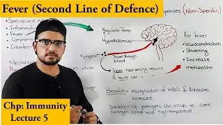Fever An immune response of Innate immunity. |Second line of defence|