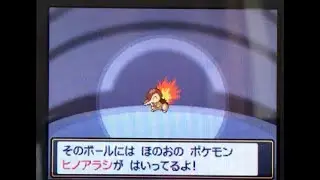 (BQ#1) LIVE Shiny Cyndaquil in Heart Gold after roughly 1200 SR's