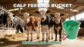Efficient&nbsp;Calf&nbsp;Feeding&nbsp;Bucket&nbsp;for&nbsp;Dairy&nbsp;Farms &ndash;&nbsp;Reduce&nbsp;Waste&nbsp;&&nbsp;Improve&nbsp;Calf&nbsp;Health!