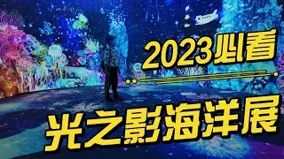 必看展覽-光之影海洋展，手機拍到停不下，體驗被海水包圍360&deg;沉浸式光影藝術，不用去日本看了，網美及親子週末活動必去！