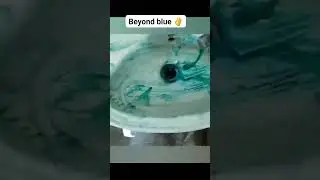 Toilet Clean in 90 Seconds with Beyond Blue 🚽 | Colour Changing Germ Kill Demo | Must Watch!