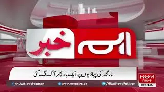 Islamabad: Margalla hills catch fire again