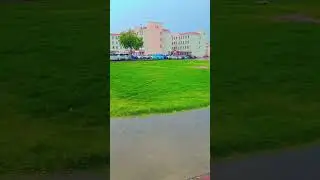 Magical Rain in Dubai: A Rare and Beautiful Sight! 🌧️✨