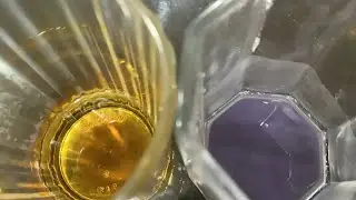 Home Experiment: Starch Extraction