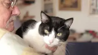 The Cat who Changed Sex
