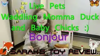 SARAH&rsquo;S NEW MOMMA DUCK & DUCKLINGS TOY PLAY and FUN REVIEW with DAD! Pets Alive
