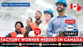 Factory Workers Jobs In Canada With Free Visa Sponsorship 2025 | No Experience or No Age Limit