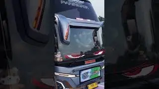 STORY WA TIGER BUS PEBIONER TERBARU ||2025 #busmania #fyp #viral