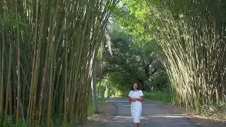 Luxury Home for Sale on the Space Coast of Florida | 8034 Windover Way, Titusville, FL 32780