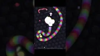 Slither.io Epic Kill