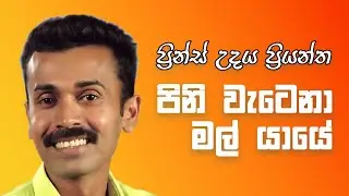 Pini Watena Mal Yaye - Prince Udaya Priyantha | පිනි වැටෙනා මල් යායේ - ප්‍රින්ස් උදය ප්‍රියන්ත