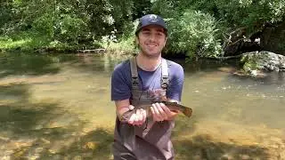 North Carolina Fly Fishing