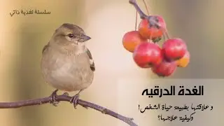 الغدة الدرقيه و علاقتها بطبيعة حياة الشخص ! و كيفية علاجها ؟