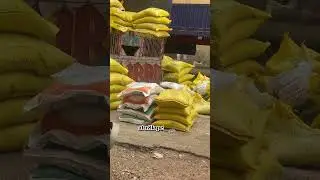 Estimated profits to gain from raising a 1,000 layers in Nigeria. #agriculture #viralshorts #fyp