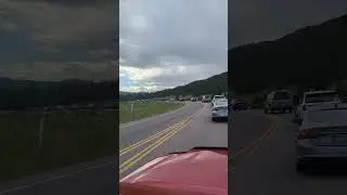 Traffic in Yellowstone #travel #yellowstone #rage #traffic