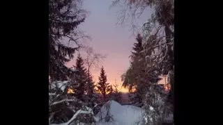 J.S.Bach: Prelude G-major (from Cello Suite No.1) - Lina Lisauskaite, flute.
