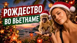 VLOG #2 - ВЬЕТНАМ - Рождество в Фукуоке 🎄Вьетнам без фильтров