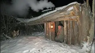 Building a Shelter Near a fallen tree, Near the jackals' lair