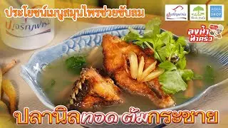 ปลานิลทอด ต้มกระชาย | ป.เจริญฟาร์ม