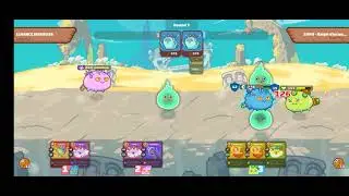 backline plant vs termi
