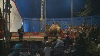 Cirque Alexis Zavatta