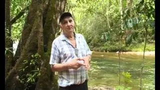 BanaWaraLingyu.wmv