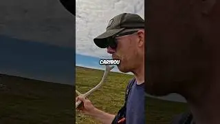 Man Survives Alone on a Remote Island Full of Hidden Dangers
