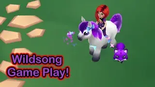 Wildsong Game Play